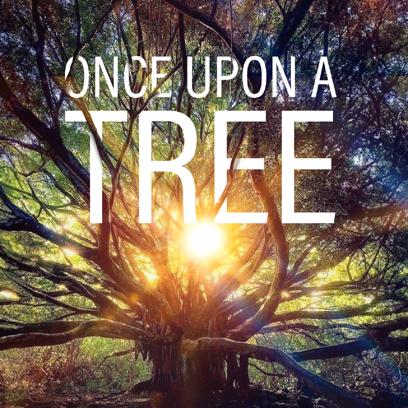 cover of episode Once Upon A Tree