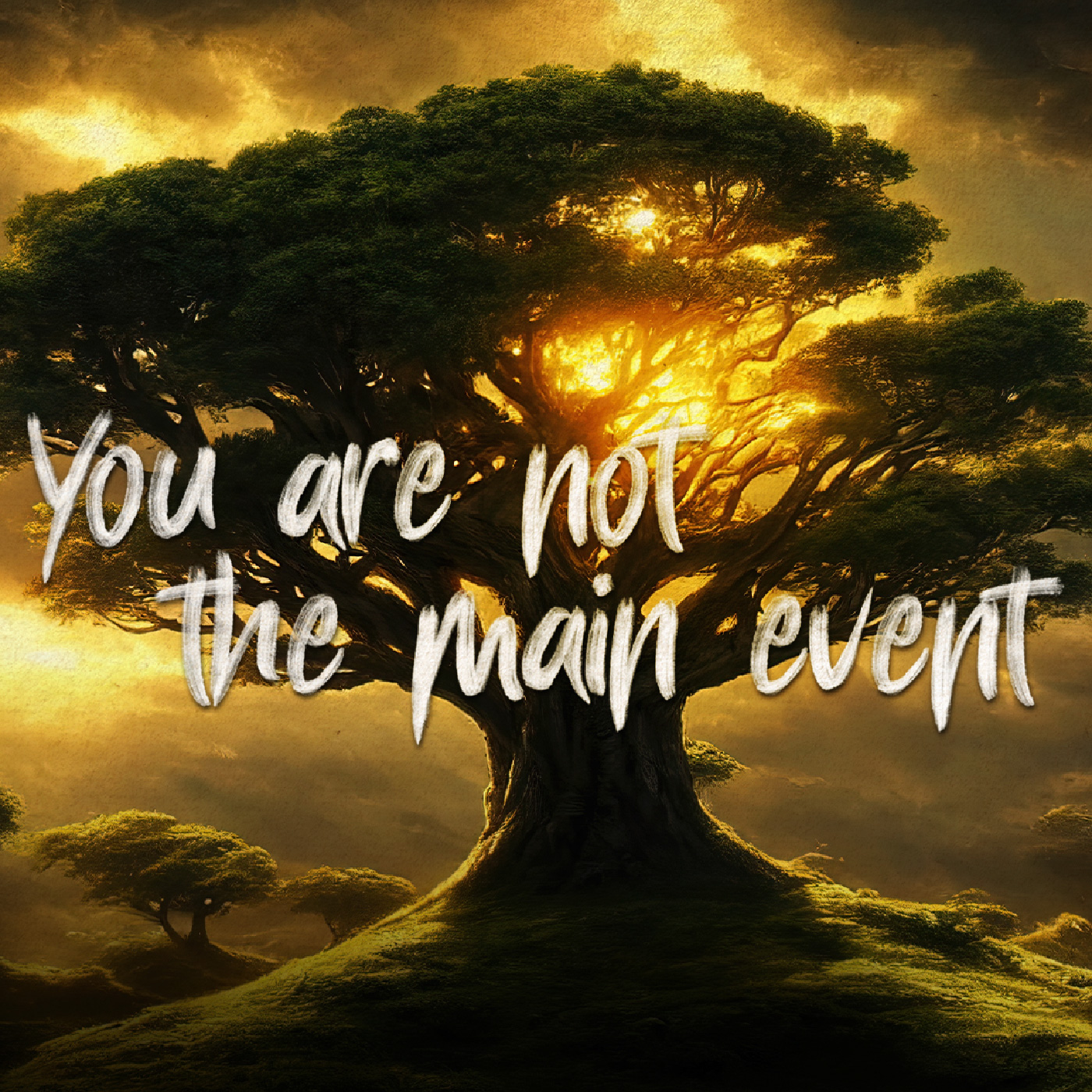 cover of episode You Are Not The Main Event