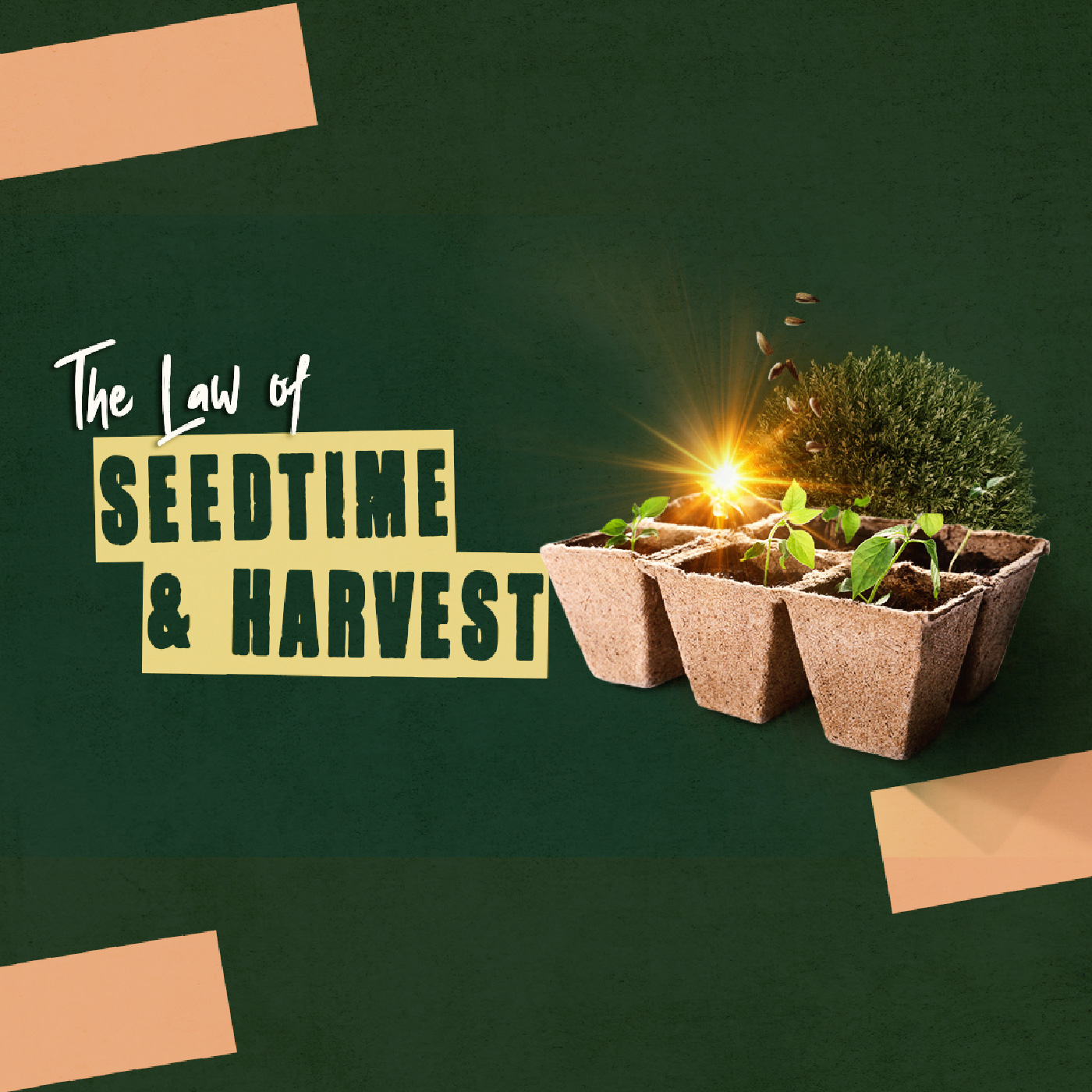 cover of episode The Law of Seedtime &#038; Harvest