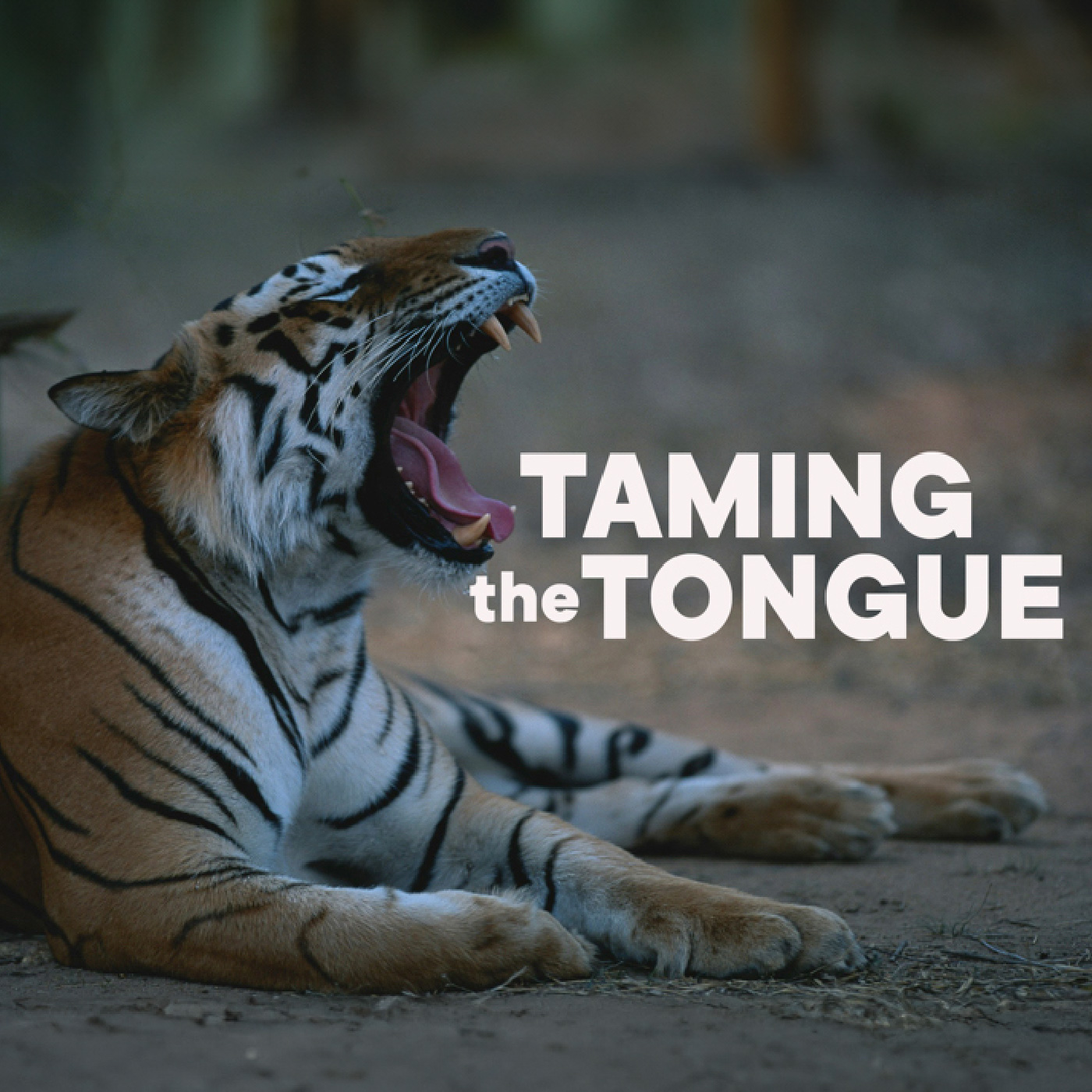 cover of episode Taming The Tongue
